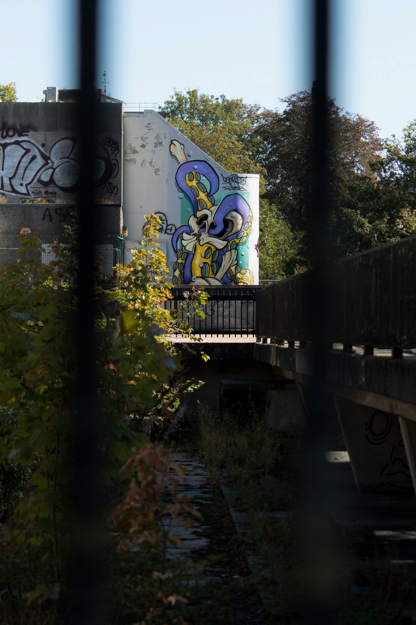Graffiti through fence
