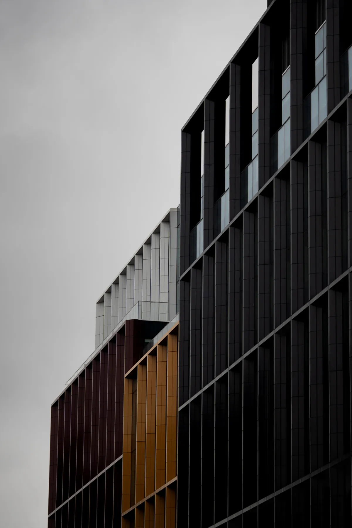 1/2000 • f/1.4 • ISO 100 • 85 mm