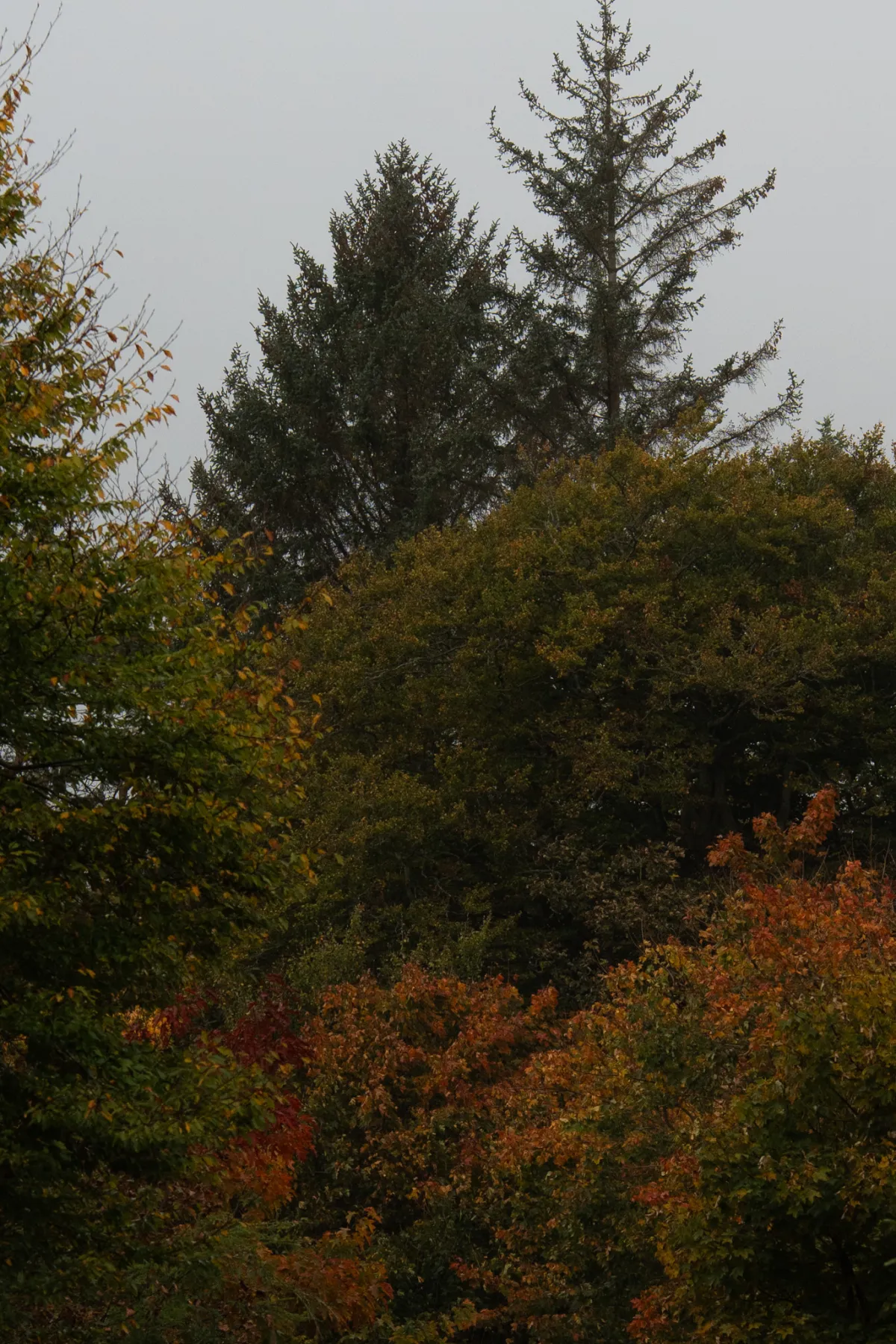 1/2000 • f/6.3 • ISO 1000 • 85 mm