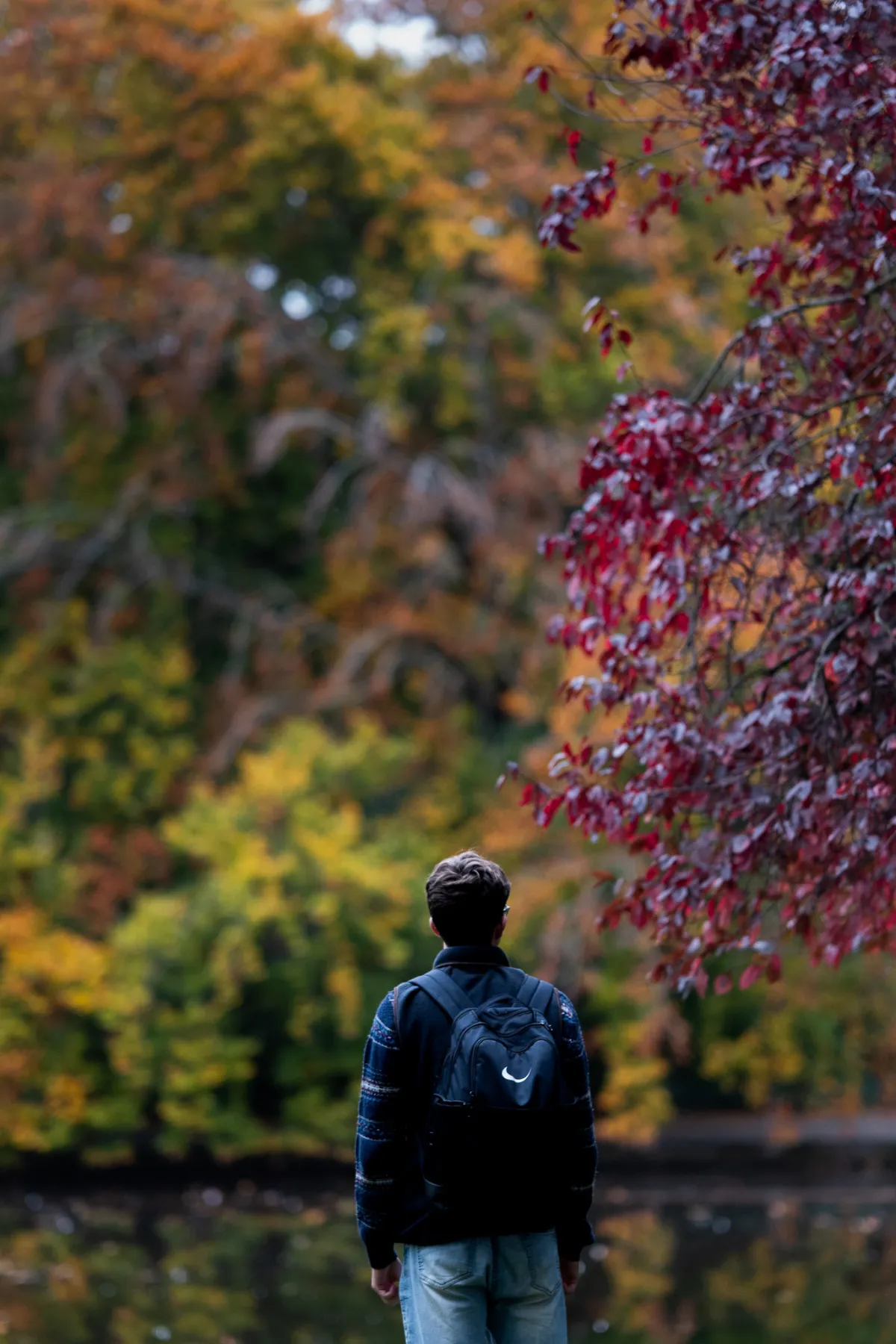 1/2000 • f/1.4 • ISO 1250 • 85 mm