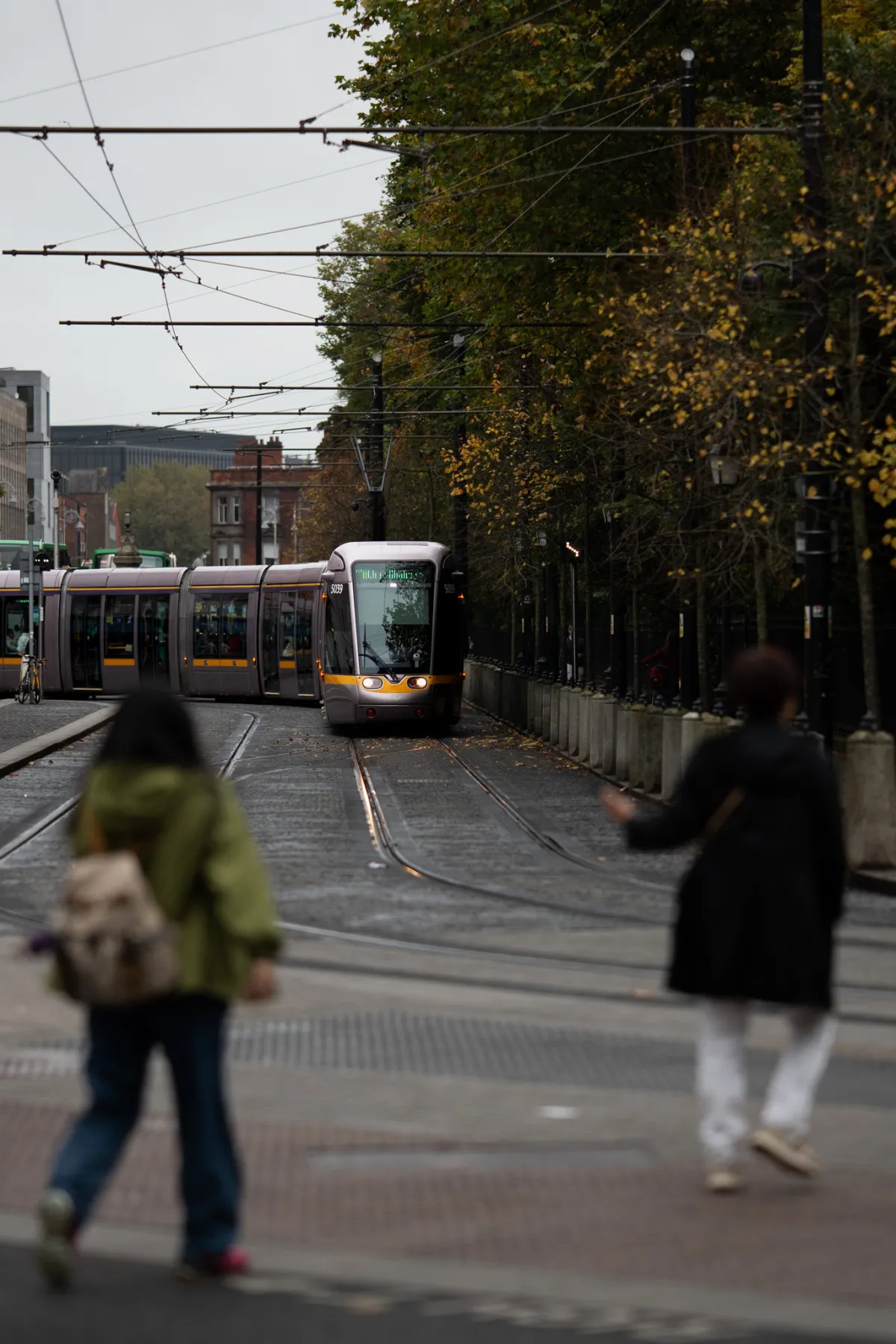 1/2000 • f/1.4 • ISO 320 • 85 mm