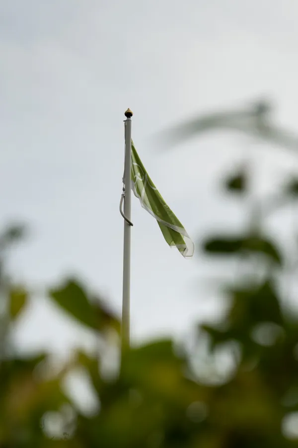 Flag
