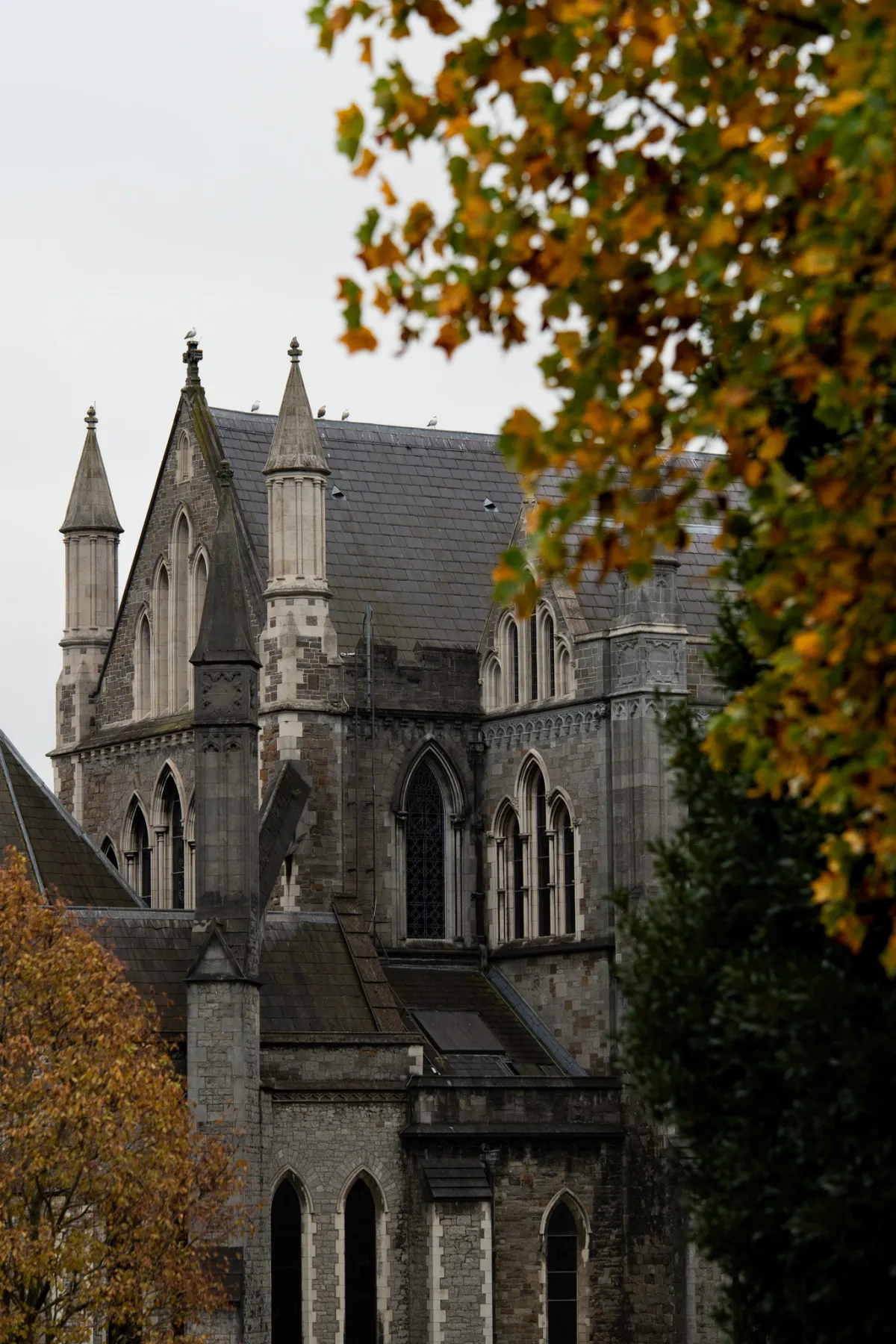 1/2000 • f/2.8 • ISO 640 • 85 mm