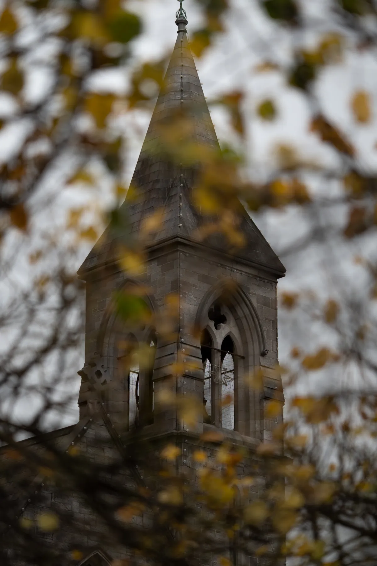 1/2000 • f/1.4 • ISO 160 • 85 mm